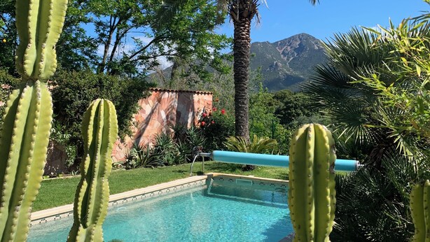 Une piscine entourée de cactus et de palmiers, avec une montagne en arrière-plan.