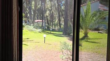 Una ventana con vistas a un jardín y árboles.