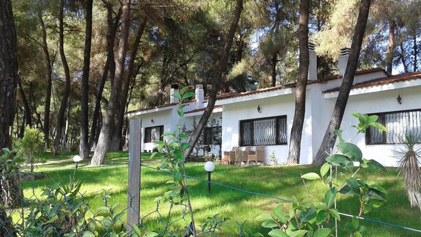 A white building with a tiled roof, surrounded by tall trees and a grassy lawn.