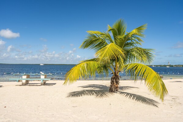 Beach nearby - BRAND NEW Beautiful 2-Story Home In the Florida Keys (Key Largo)