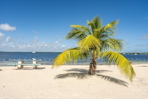 Playa en los alrededores