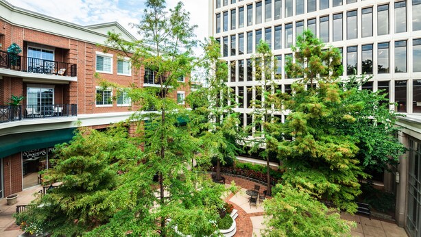 Un patio con árboles, un edificio de ladrillo y un edificio moderno de vidrio.