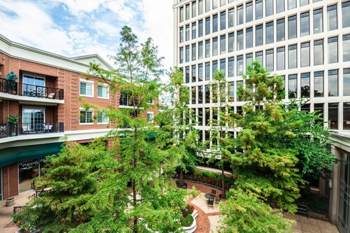 Modern Condo in the Heart of Downtown Greenville