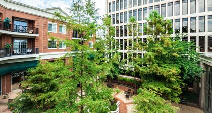 Modern Condo in the Heart of Downtown Greenville