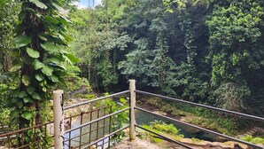 A natural landscape with a river, dense foliage, and a metal railing.