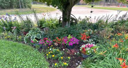 Hobby Farm close to Sleeping Bear Dunes, horse and ATV trails! Horses Welcome!