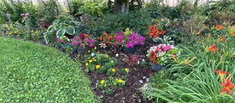 Hobby Farm close to Sleeping Bear Dunes, horse and ATV trails! Horses Welcome!