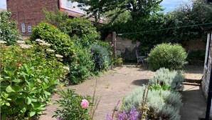 A garden with various plants and flowers, a brick pathway, and a brick wall.