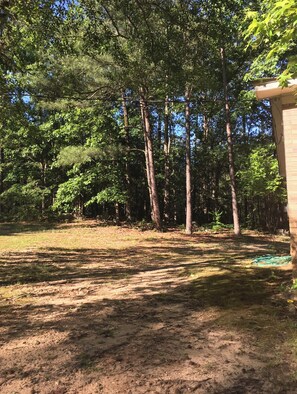 Surrounded by a diverse forest, this serene setting offers a tranquil escape.