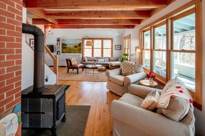 Smart TV, fireplace, books