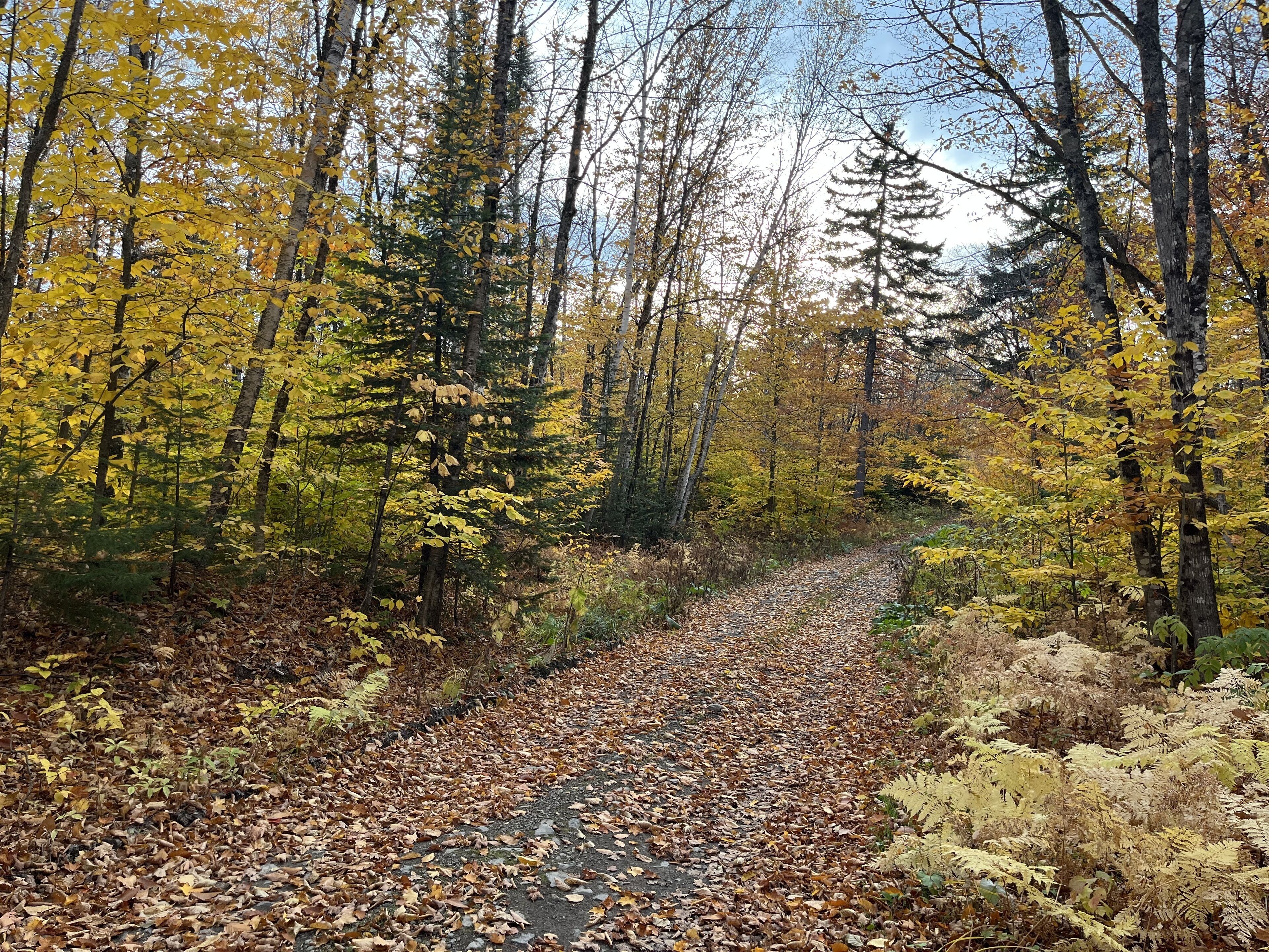 Off Grid Cabin Adventure Getaway-ATV & Snowmobile Haven