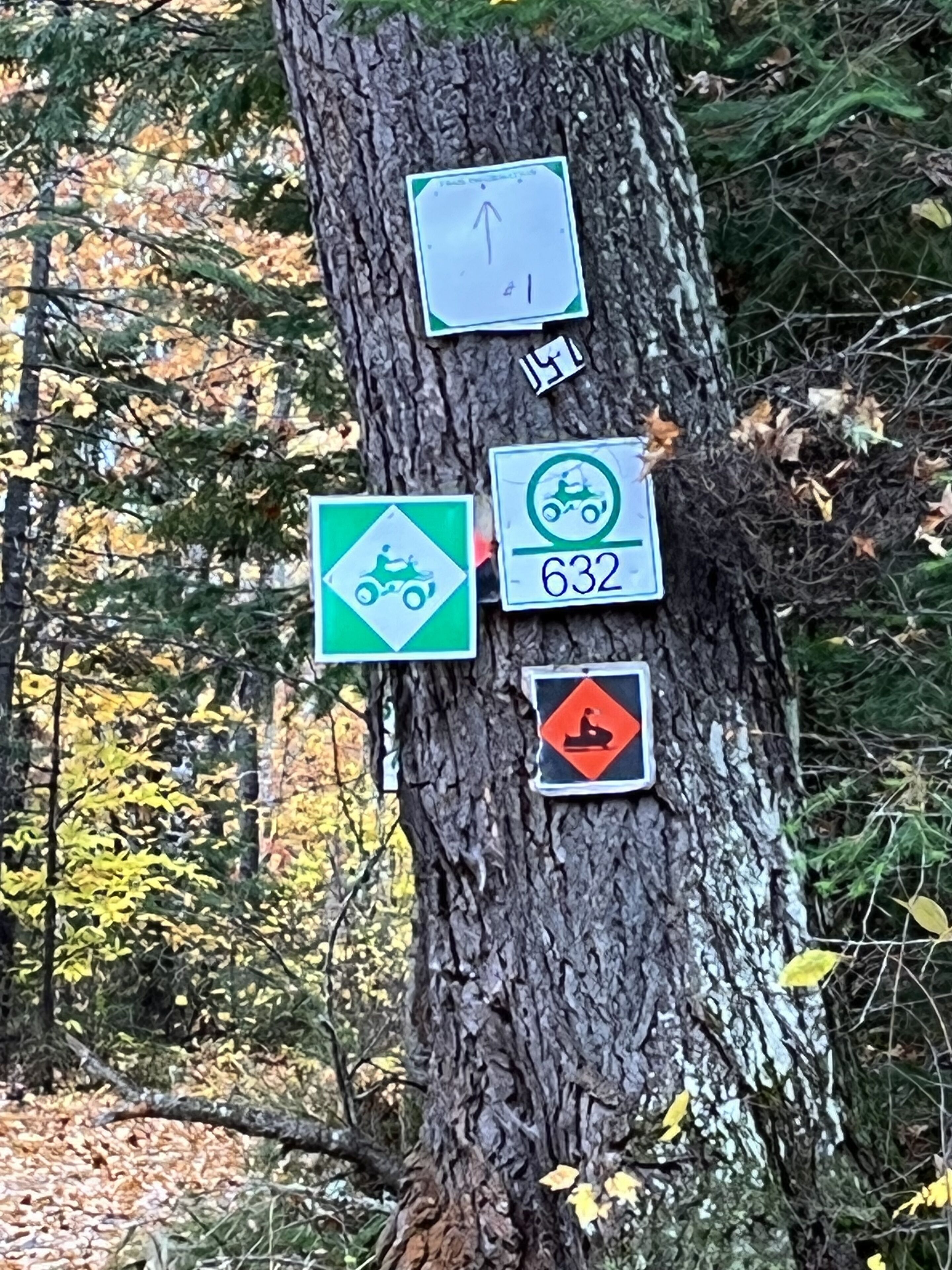 Off Grid Cabin Adventure Getaway-ATV & Snowmobile Haven