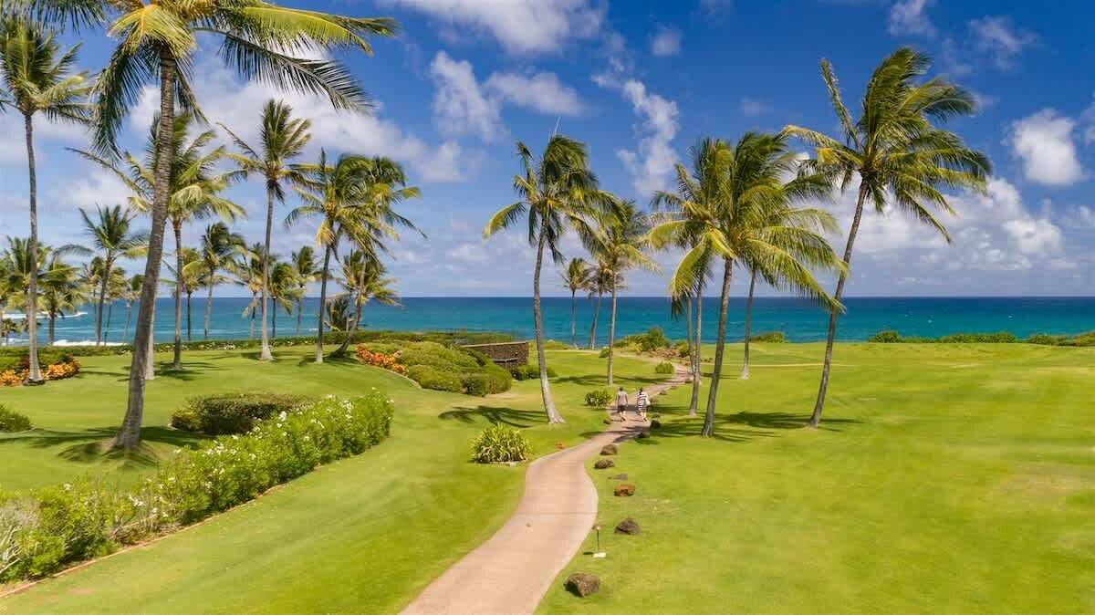 Un campo de golf con un sendero, palmeras y vista al océano.