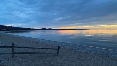 The Little Green Cottage in the Woods