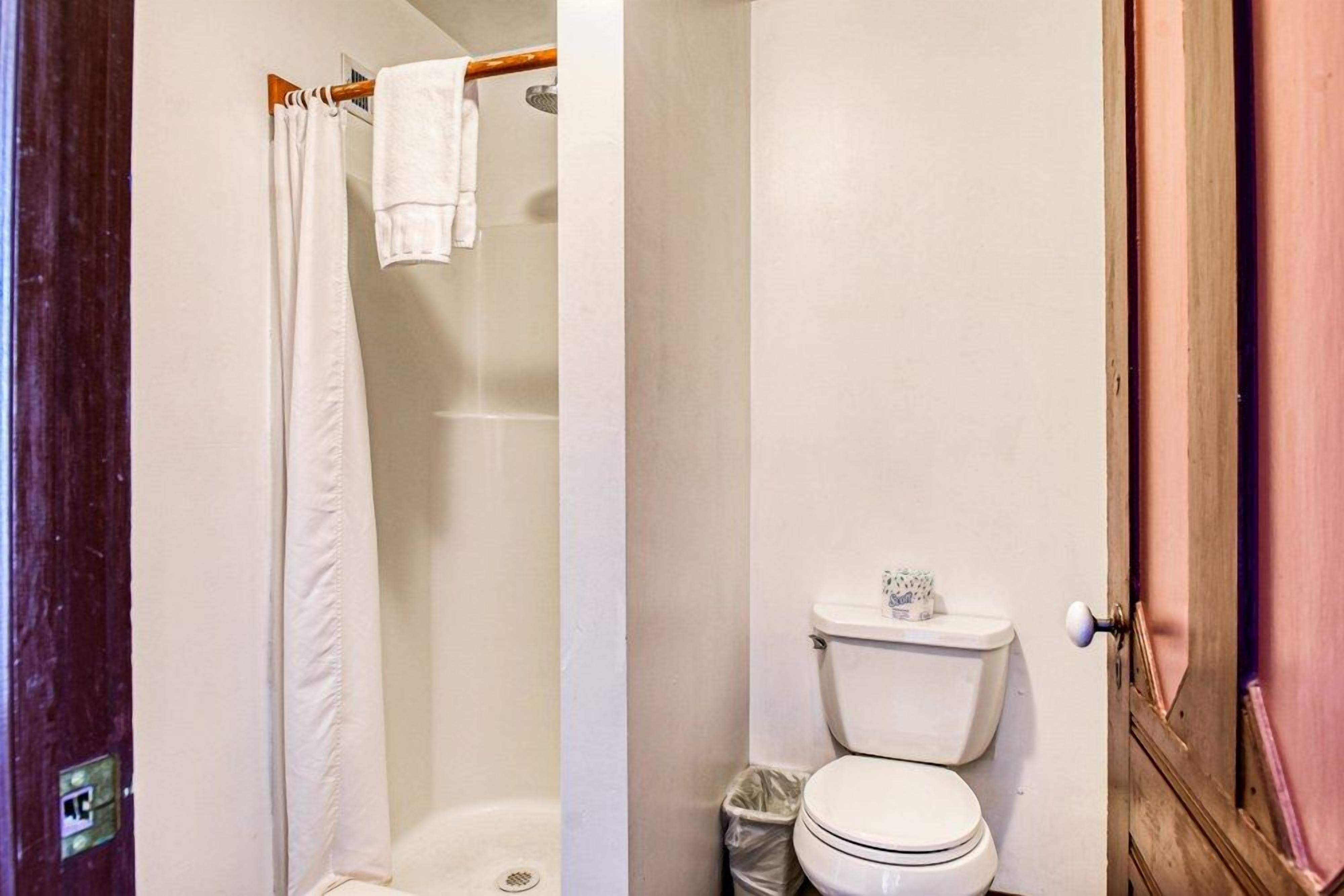 A bathroom with a shower, toilet, and a door.