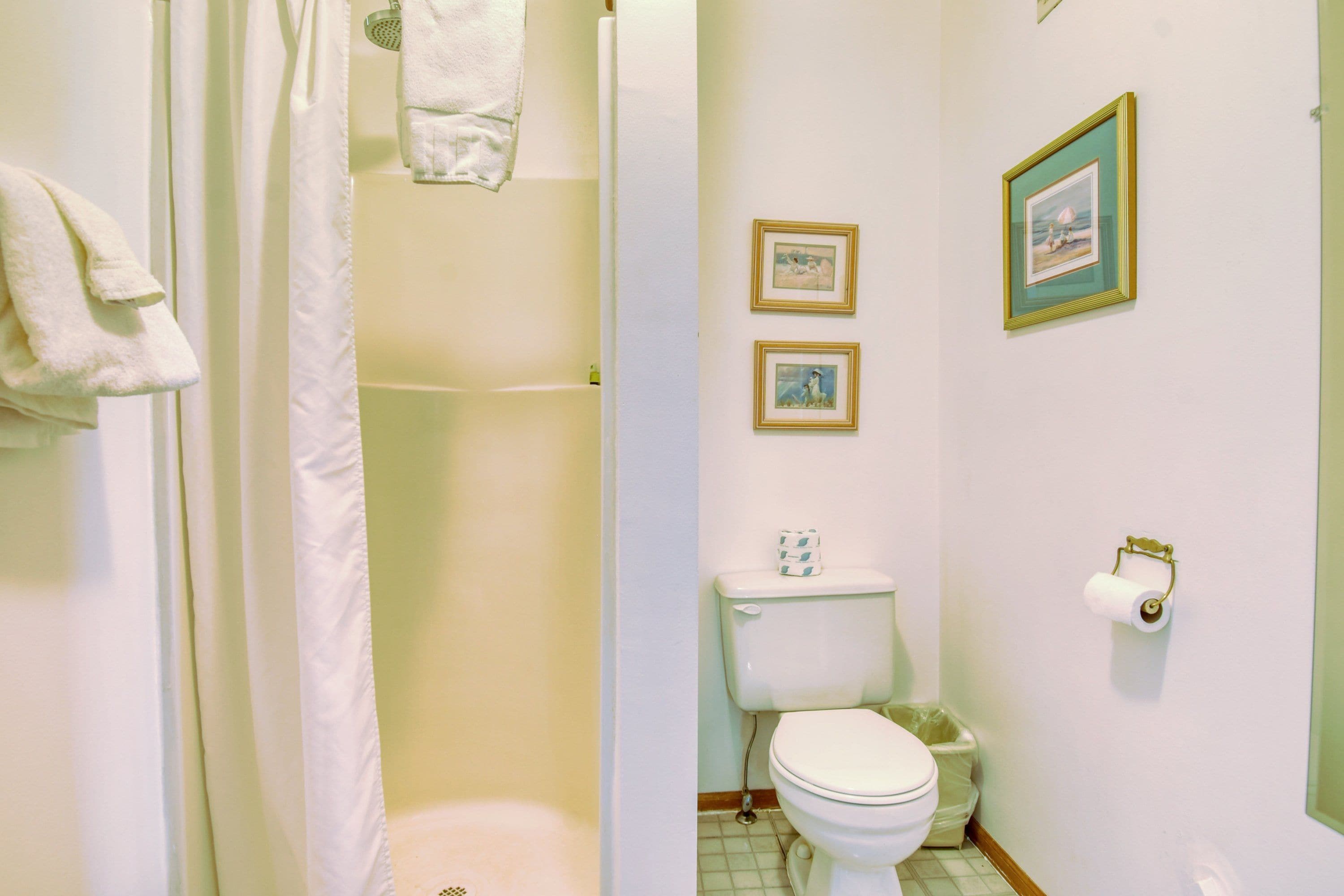 Un baño con inodoro, cortina de ducha y dos cuadros en la pared.