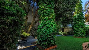 A garden with a variety of plants, a wooden bench, and a pathway.