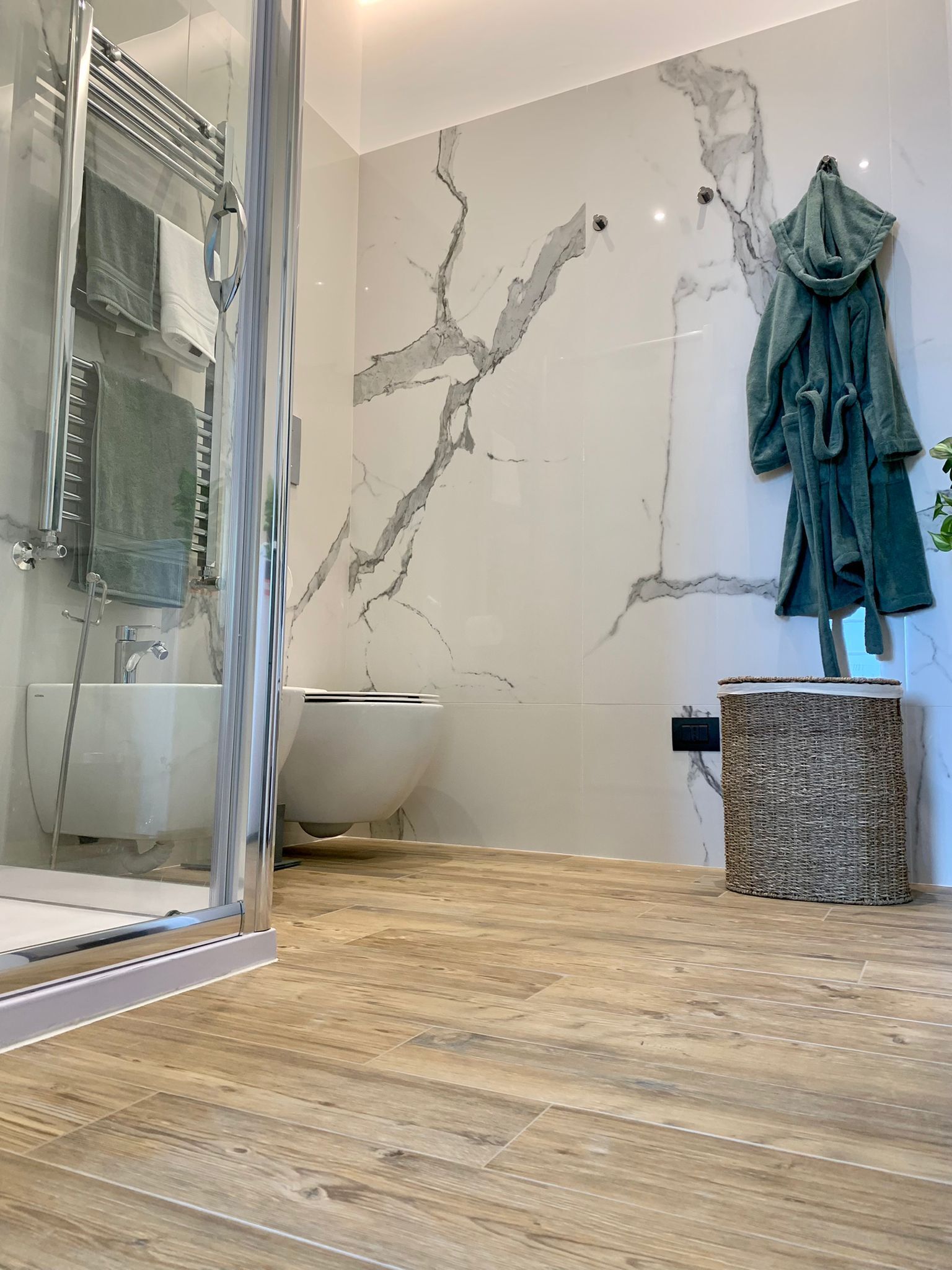 Shower, hair dryer, bidet, towels