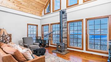 Smart TV, chimenea, videojuegos y reproductor de DVD