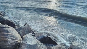 Una costa rocosa con olas rompiendo contra las rocas bajo un cielo despejado con el sol brillando.