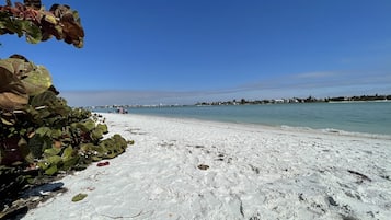 Plage à proximité, chaises longues, serviettes de plage