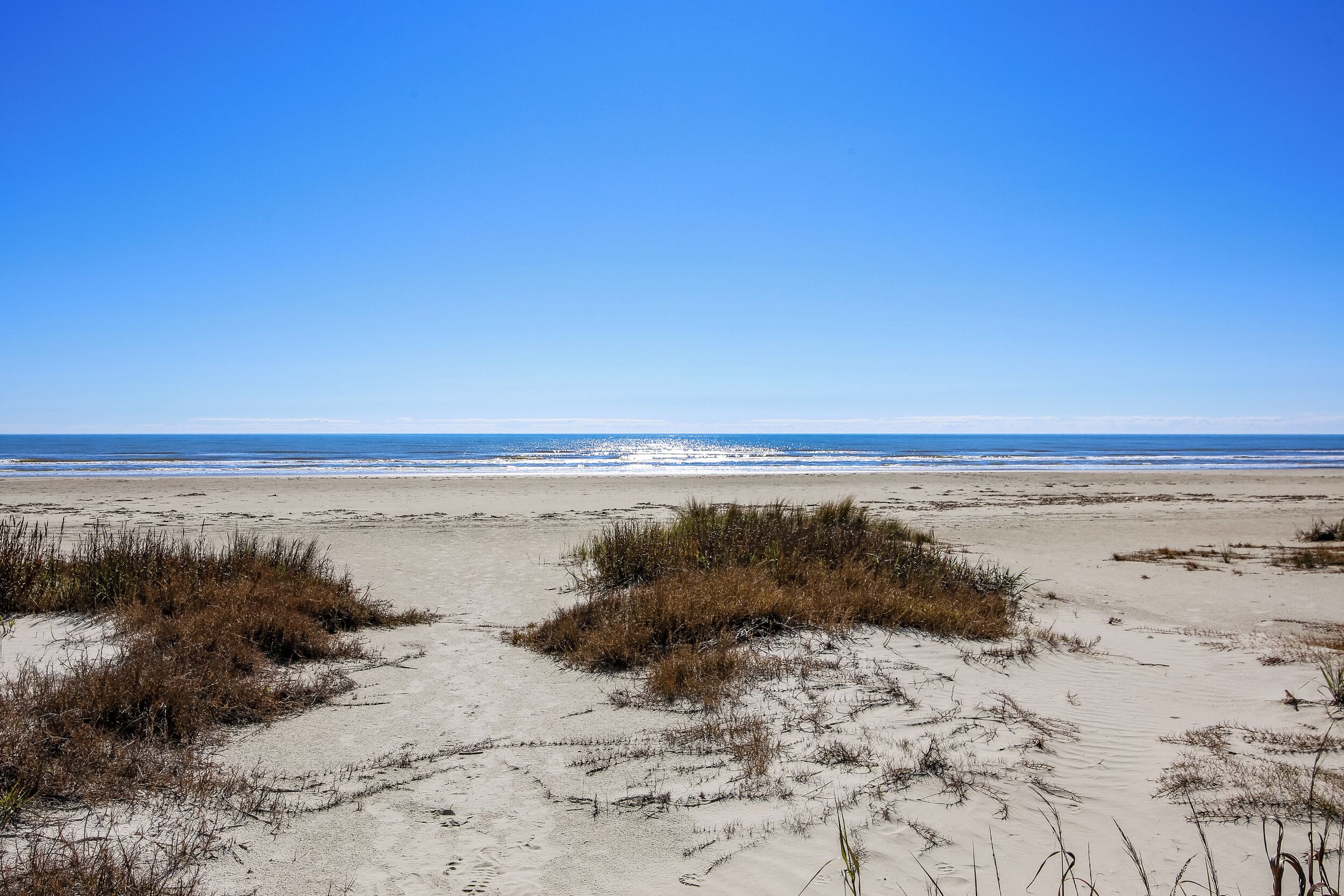 A beach with sand dunes and sparse vegetation.