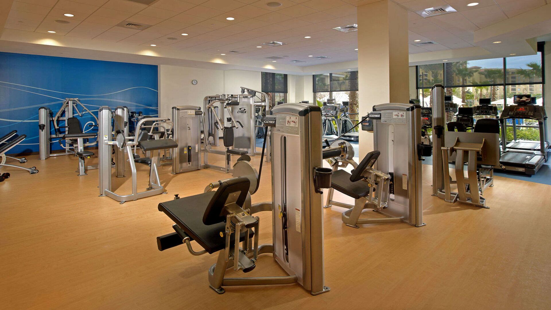 Uma academia com diversos equipamentos de exercício, grandes janelas e uma parede azul.