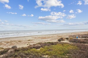 Walk along the beach to a scenic boardwalk leading to a tranquil coastal haven.