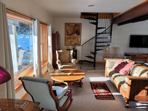 Smart TV, fireplace, books