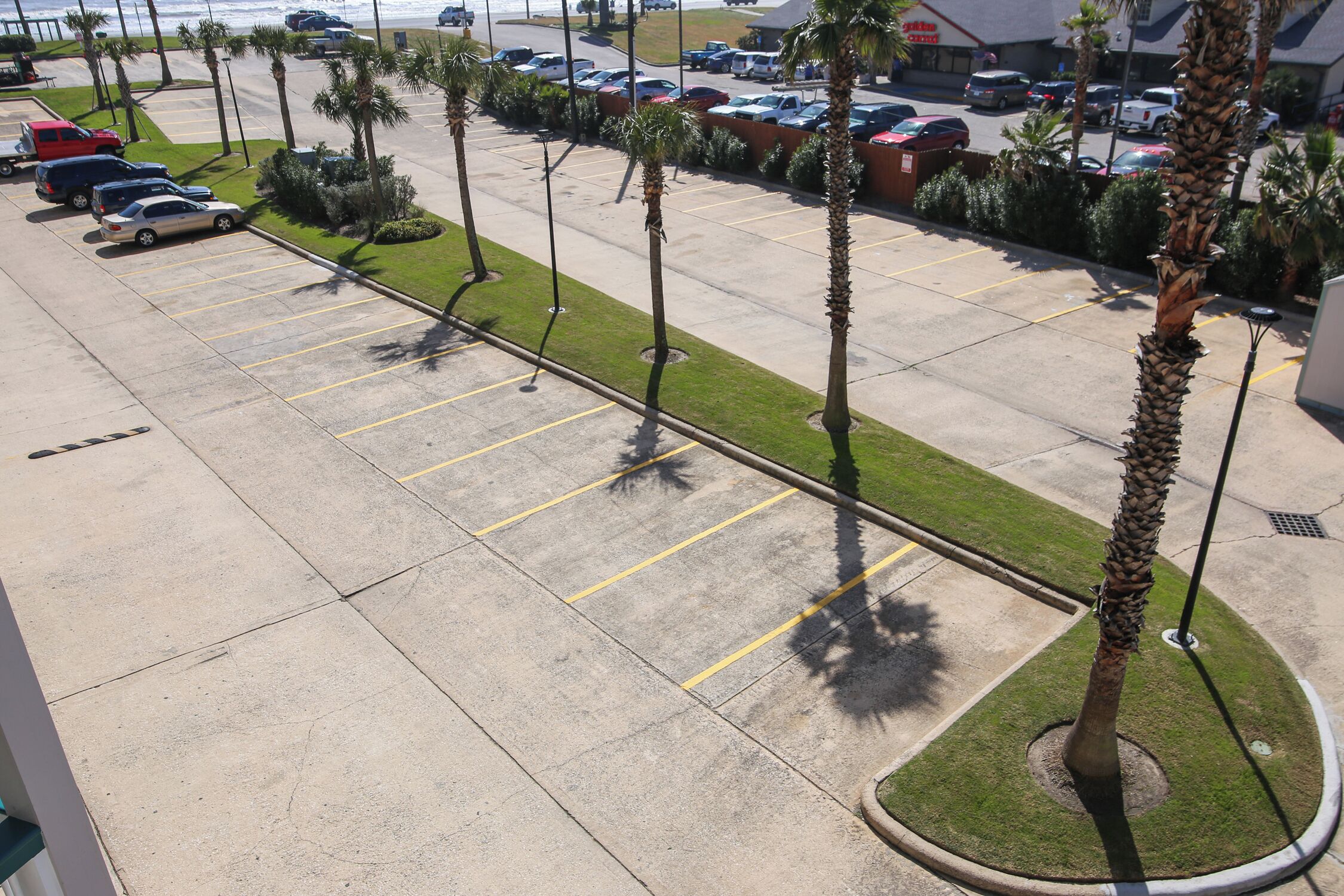 Un estacionamiento con varios coches, palmeras y un edificio al fondo.