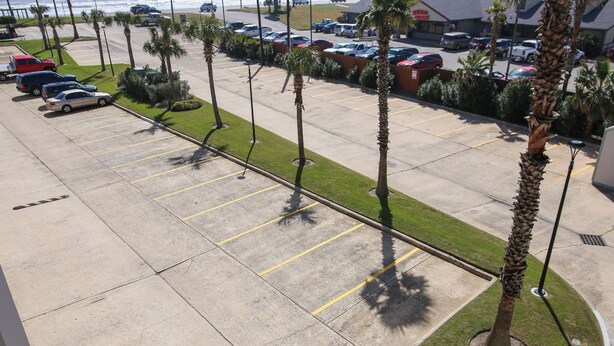 Un estacionamiento con varios coches, palmeras y un edificio al fondo.