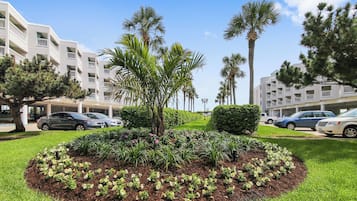 Condo (1 Bedroom) | Property amenity