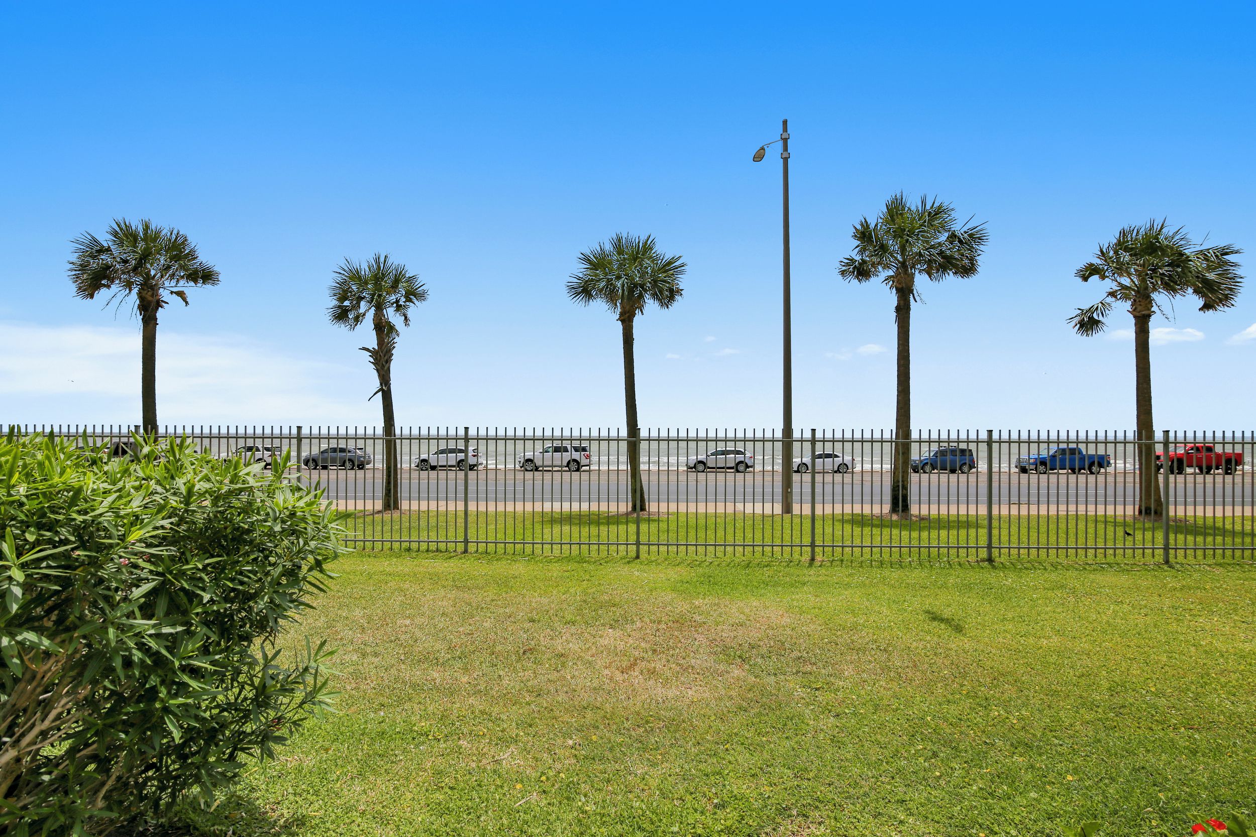 A fenced area with palm trees and a road with cars.