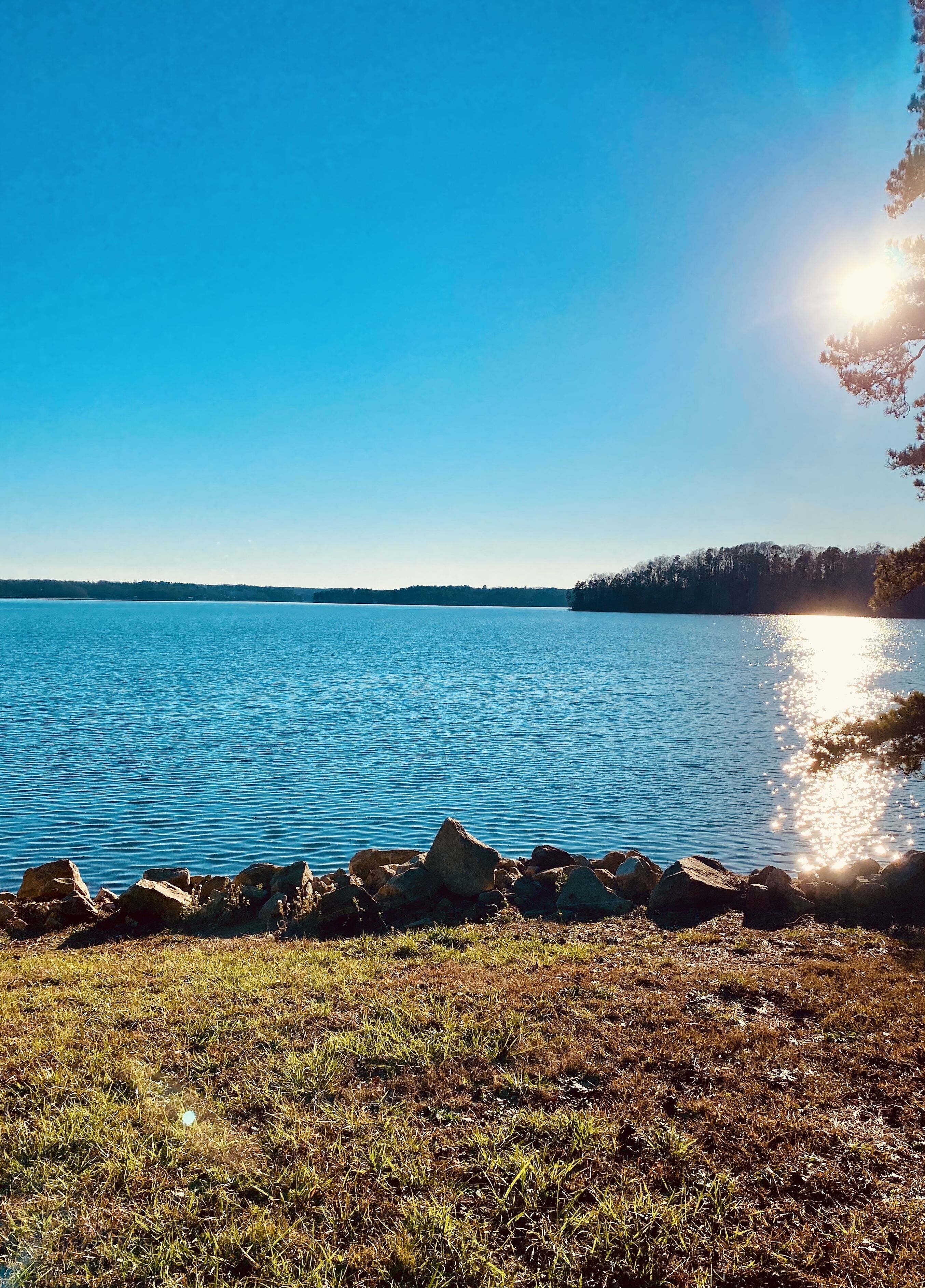 Cabins at Lake Hartwell