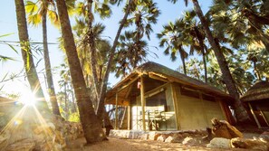 الإطلالة من المنشأة