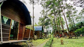 Àrea exterior de l'allotjament