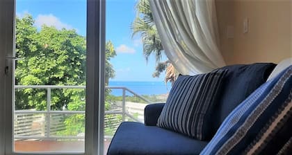 Serene, Affordable, Cozy apartment, only 10 min walk to the beach!