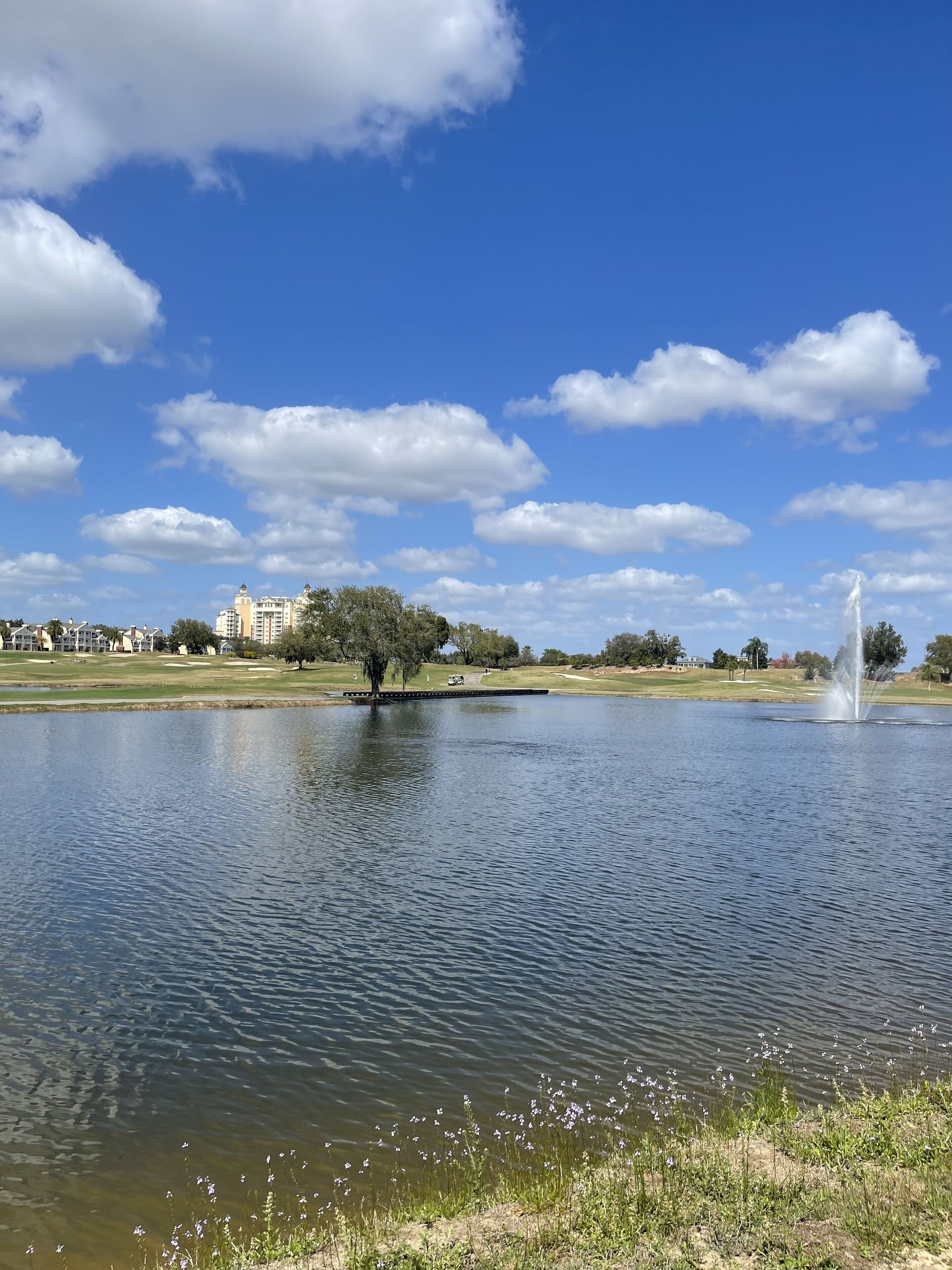 Golfer’s Heaven with Champion Courses 7 miles to Disney World.