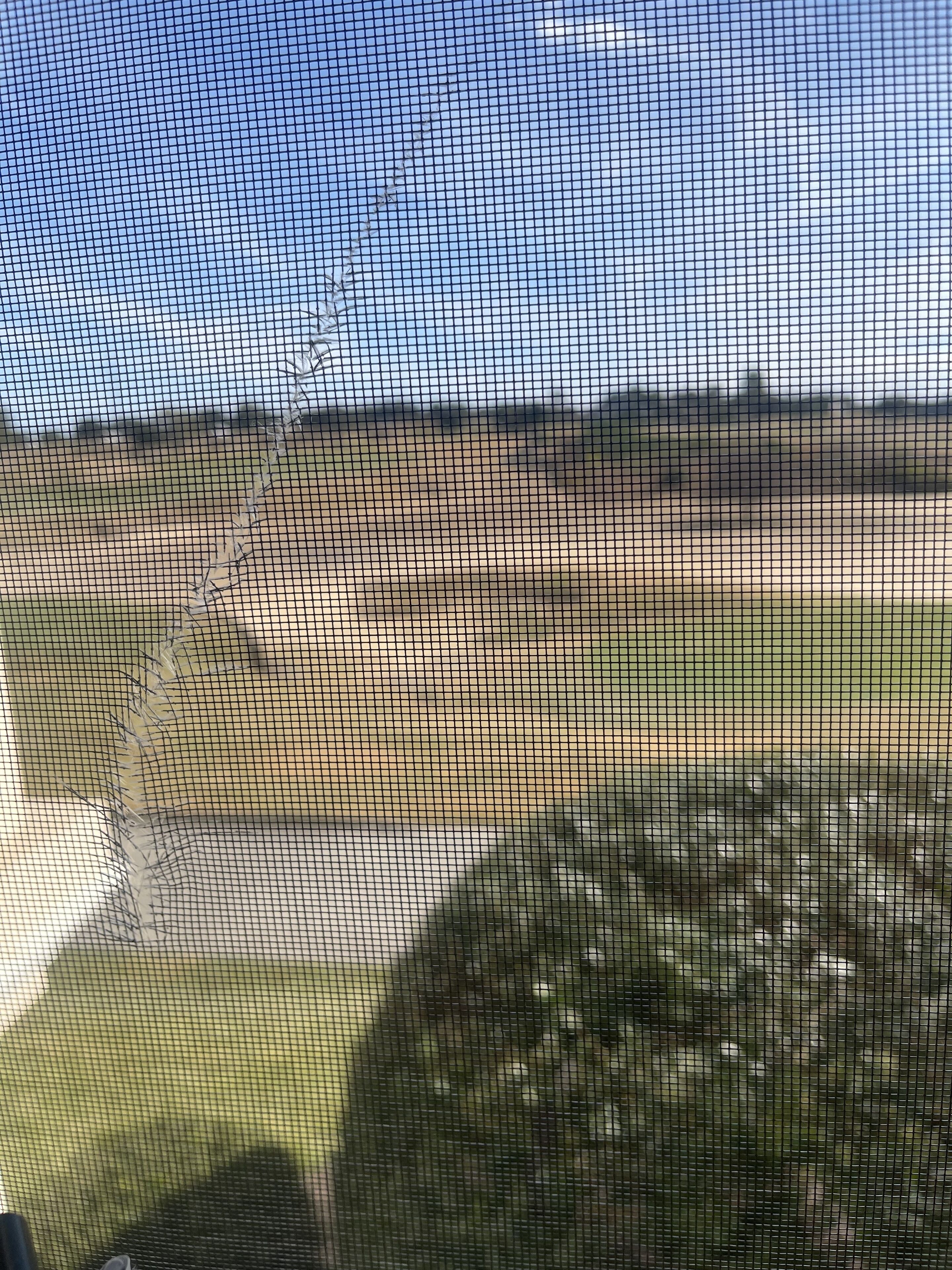 Golfer’s Heaven with Champion Courses 7 miles to Disney World.