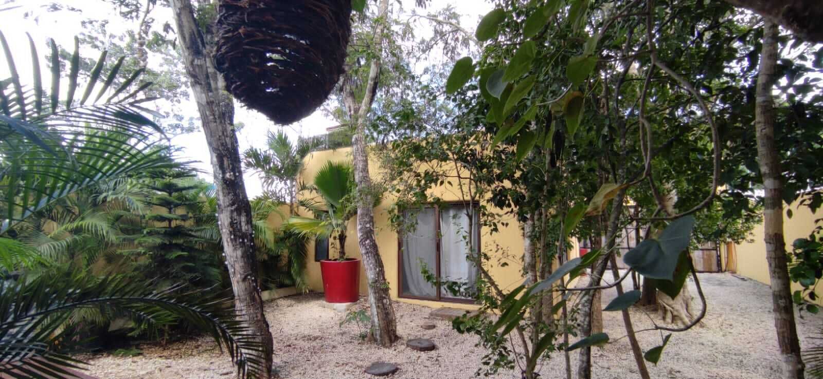 Área da propriedade