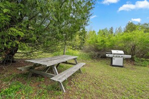 Ein Picknicktisch und ein Grill in bewaldeter Landschaft.