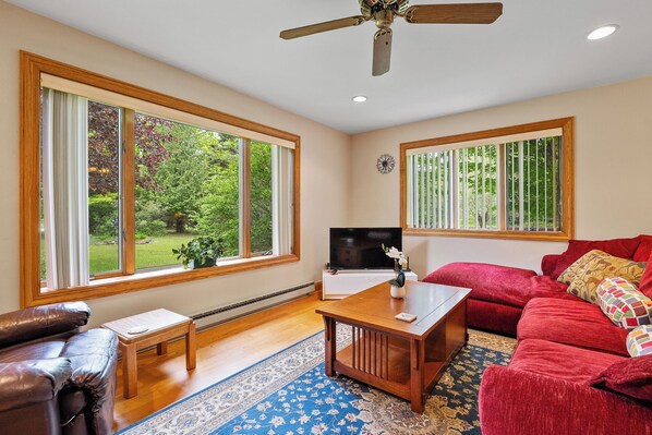 Smart TV, fireplace, books, printers