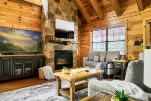 TV connectée, cheminée, jeux vidéo, lecteur de DVD