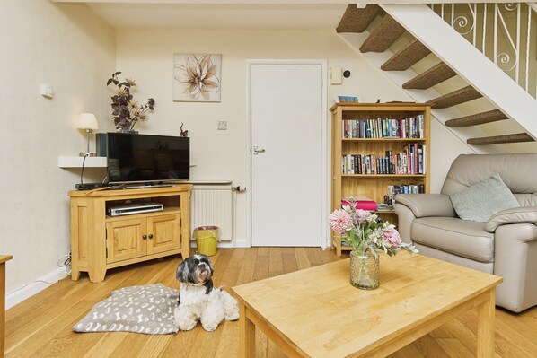 Fernseher, DVD-Player