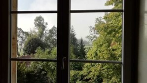 A window with a view of dense greenery and trees.