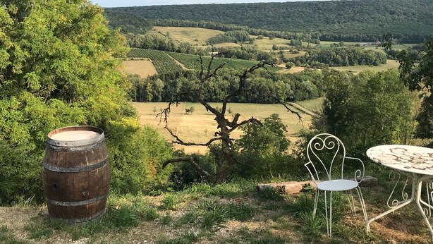 A rustic outdoor seating area with a barrel and metal chairs overlooking a vineyard.