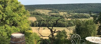 Chateau de la Mothe with tennis court and park all for you