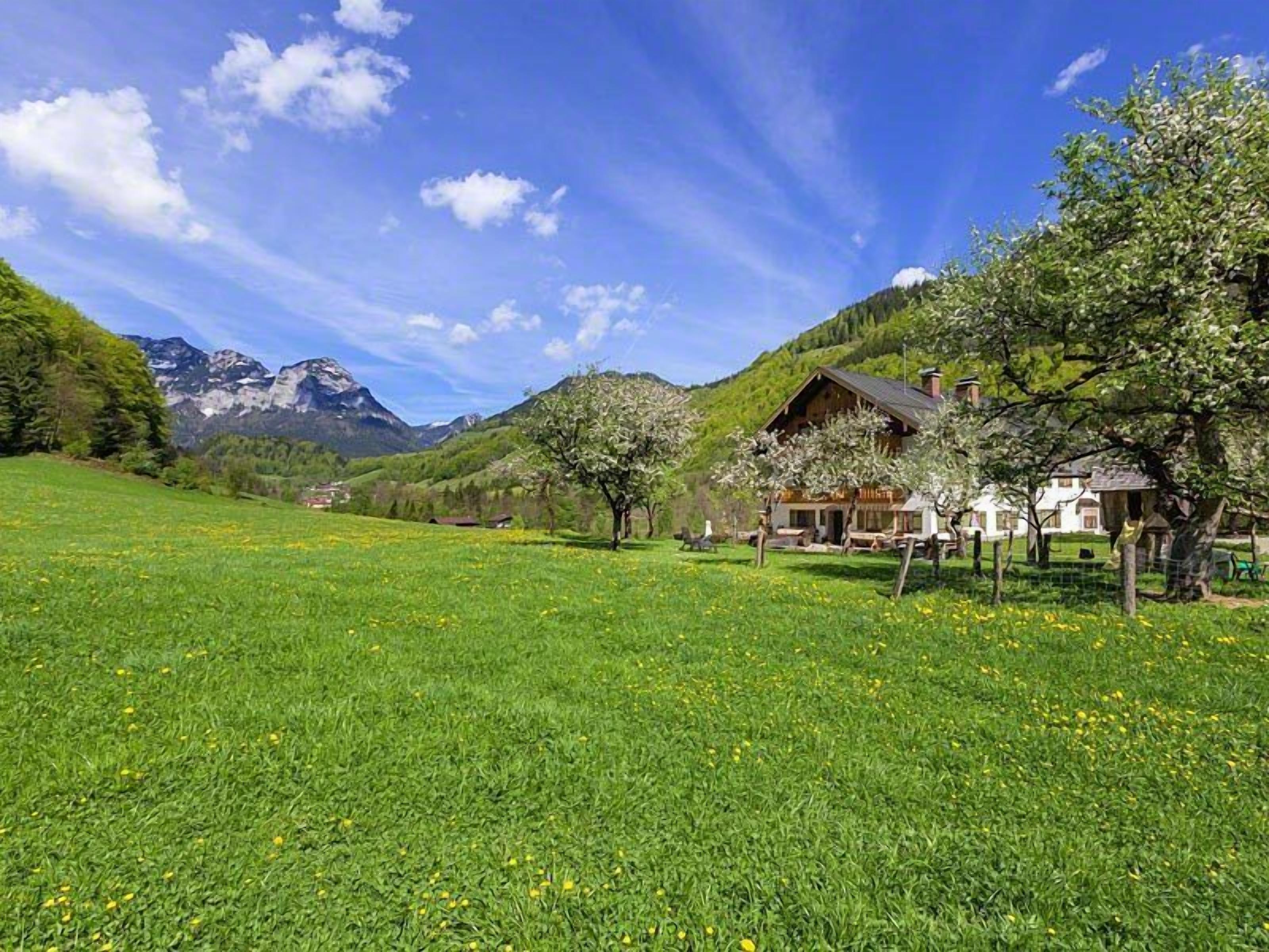 Un chalet de montagne à l’extérieur en bois, entouré de prairies verdoyantes et d’arbres, avec un ciel dégagé et des montagnes en toile de fond.