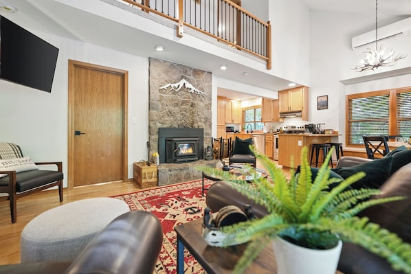 Smart TV, fireplace, books, computer monitors