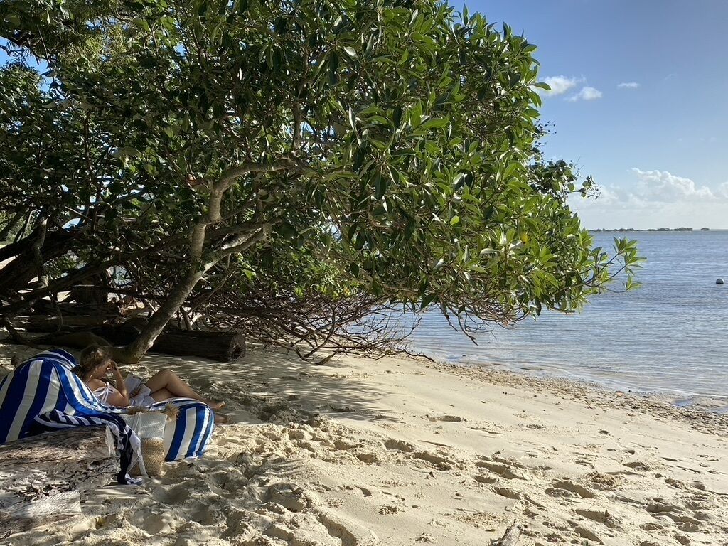 A person relaxing under a tree on a sandy beach with a clear view of the sea.
